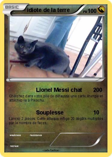 Pokemon idiote de la terre