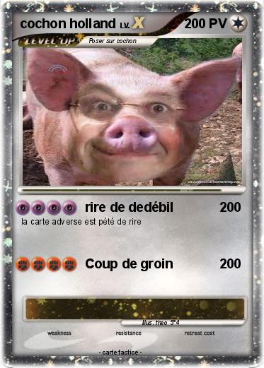 Pokemon cochon holland