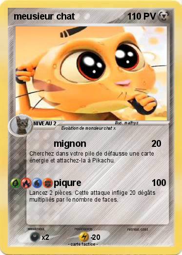 Pokemon meusieur chat