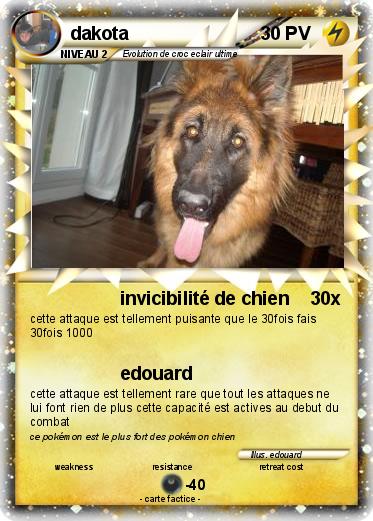 Pokemon dakota