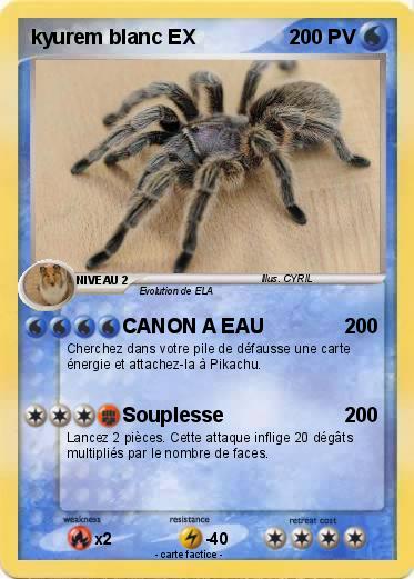 Pokemon kyurem blanc EX