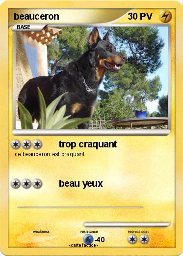 Pokemon beauceron