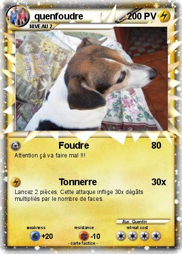 Pokemon quenfoudre