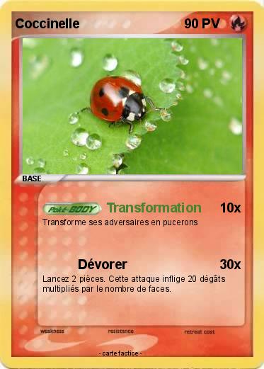 Pokemon Coccinelle