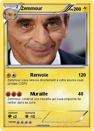 Pokemon Zemmour