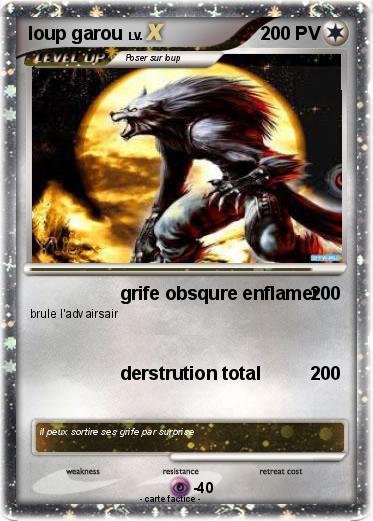 Pokemon loup garou