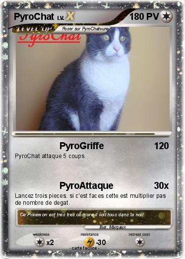 Pokemon PyroChat