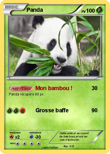 Pokemon Panda