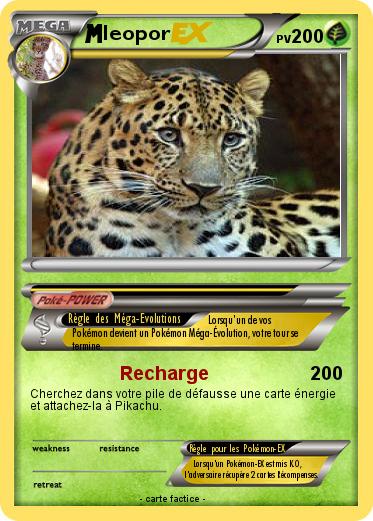 Pokemon leopor