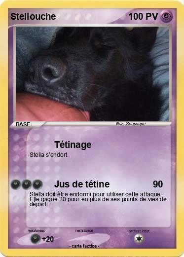 Pokemon Stellouche