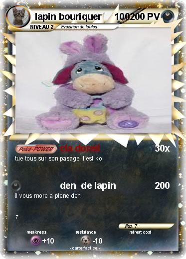 Pokemon lapin bouriquer     100