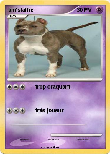 Pokemon am'staffie