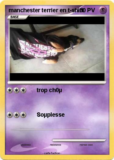 Pokemon manchester terrier en t-shirt