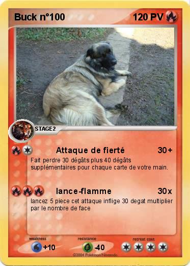 Pokemon Buck n°100