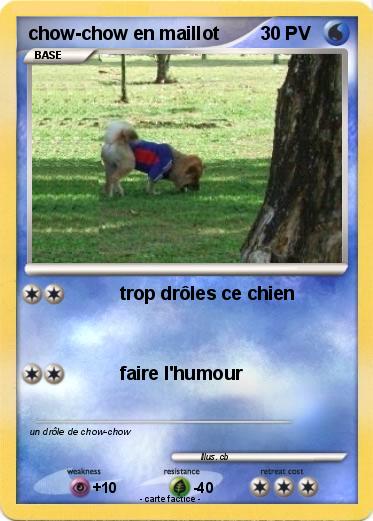 Pokemon chow-chow en maillot
