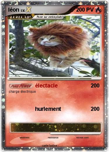 Pokemon léon