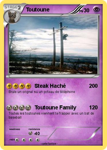 Pokemon Toutoune