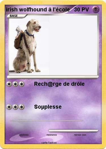 Pokemon irish wolfhound à l'école