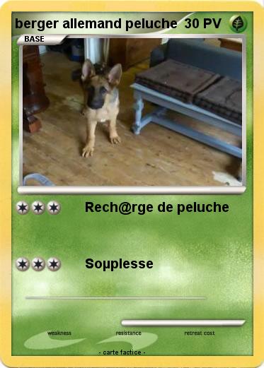 Pokemon berger allemand peluche