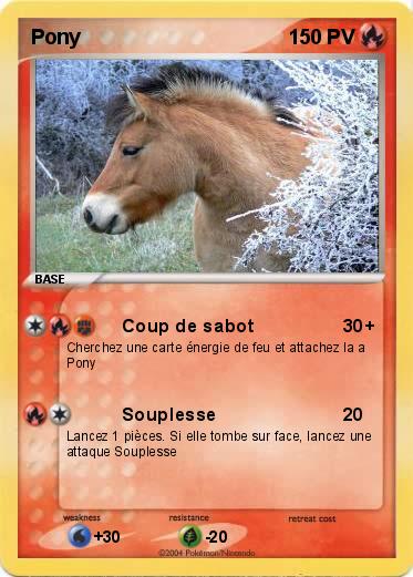 Pokemon Pony