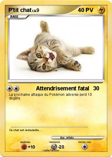 Pokemon P'tit chat
