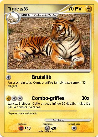 Pokemon Tigre