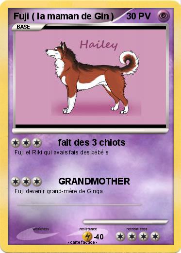 Pokemon Fuji ( la maman de Gin )