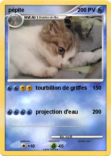 Pokemon pépite