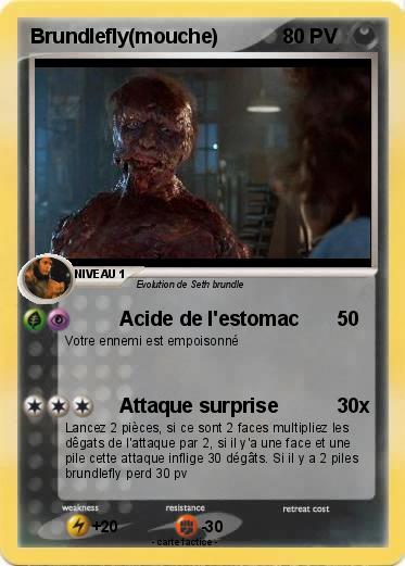 Pokemon Brundlefly(mouche)