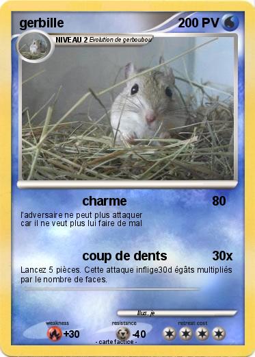 Pokemon gerbille