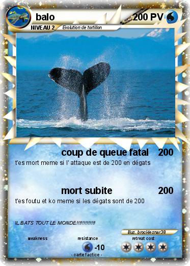Pokemon balo