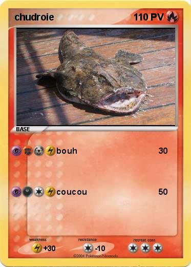 Pokemon chudroie
