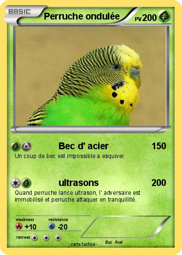 Pokemon Perruche ondulée