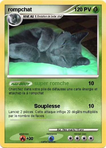 Pokemon rompchat
