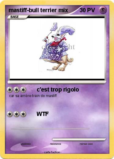 Pokemon mastiff-bull terrier mix