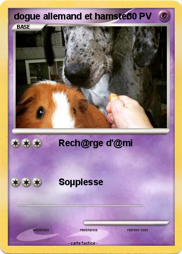 Pokemon dogue allemand et hamster