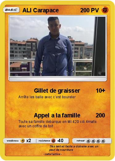 Pokemon ALI Carapace