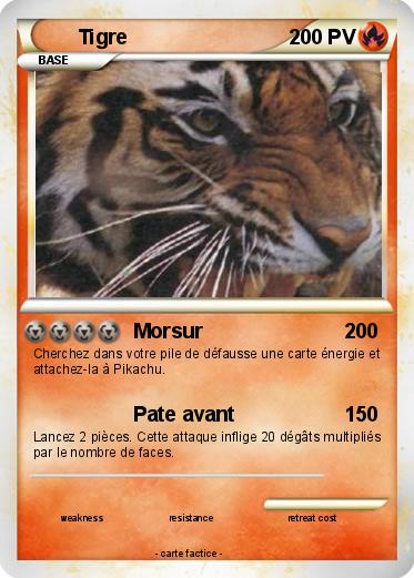 Pokemon Tigre
