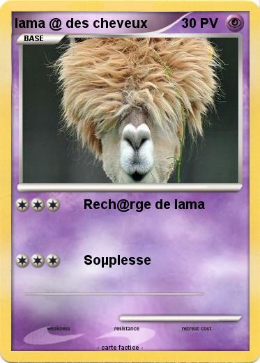 Pokemon lama @ des cheveux