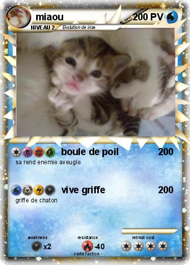 Pokemon miaou