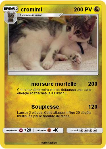 Pokemon cromimi