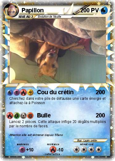 Pokemon Papillon
