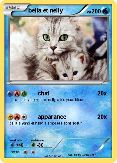 Pokemon bella et nelly