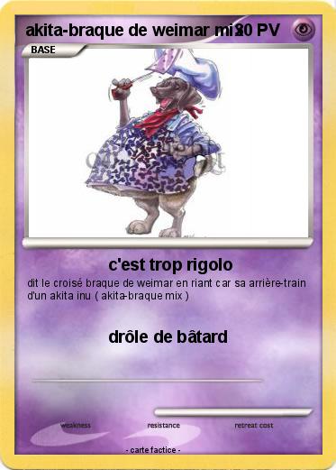 Pokemon akita-braque de weimar mix