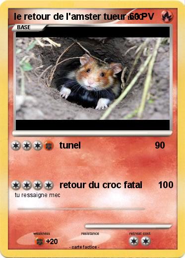 Pokemon le retour de l'amster tueur