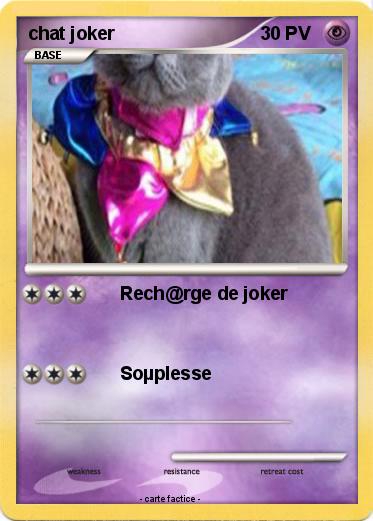 Pokemon chat joker