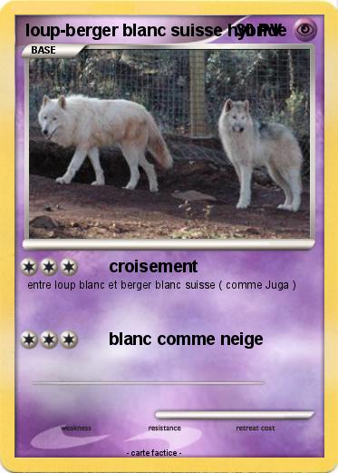 Pokemon loup-berger blanc suisse hybride