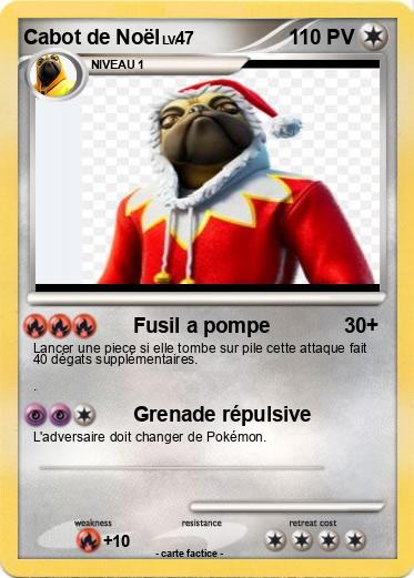 Pokemon Cabot de Noël
