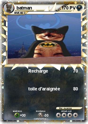 Pokemon batman