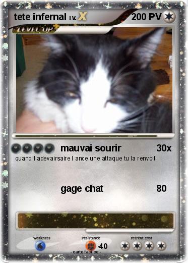 Pokemon tete infernal